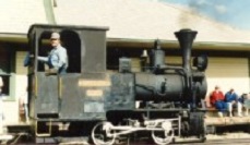 #7 Wihilmine Victoria image