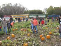 A PVH&M Railroad image