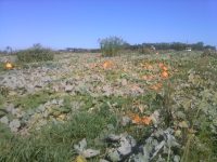 A PVH&M Railroad image